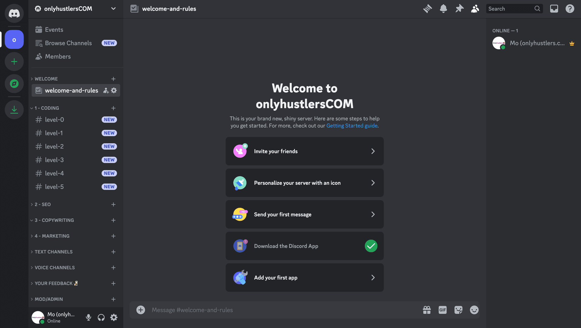 Screenshot of OnlyHustlers.com Discord Server